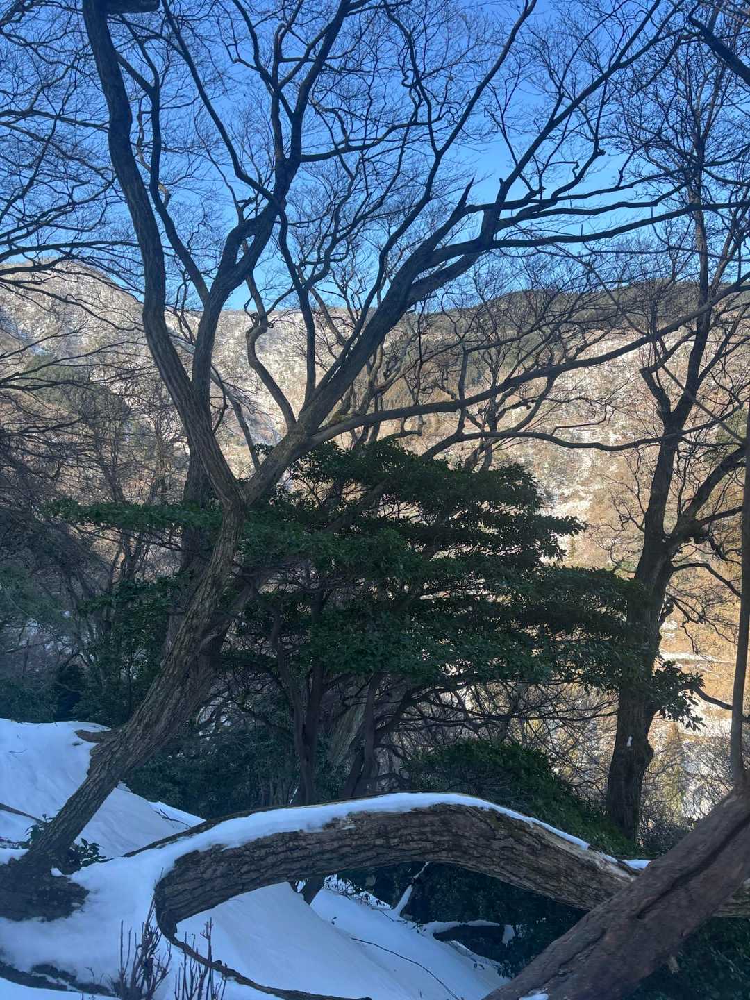 三方山 周回コースの写真