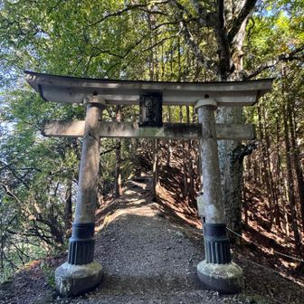 分岐を左へ
三つ目の鳥居をくぐります
