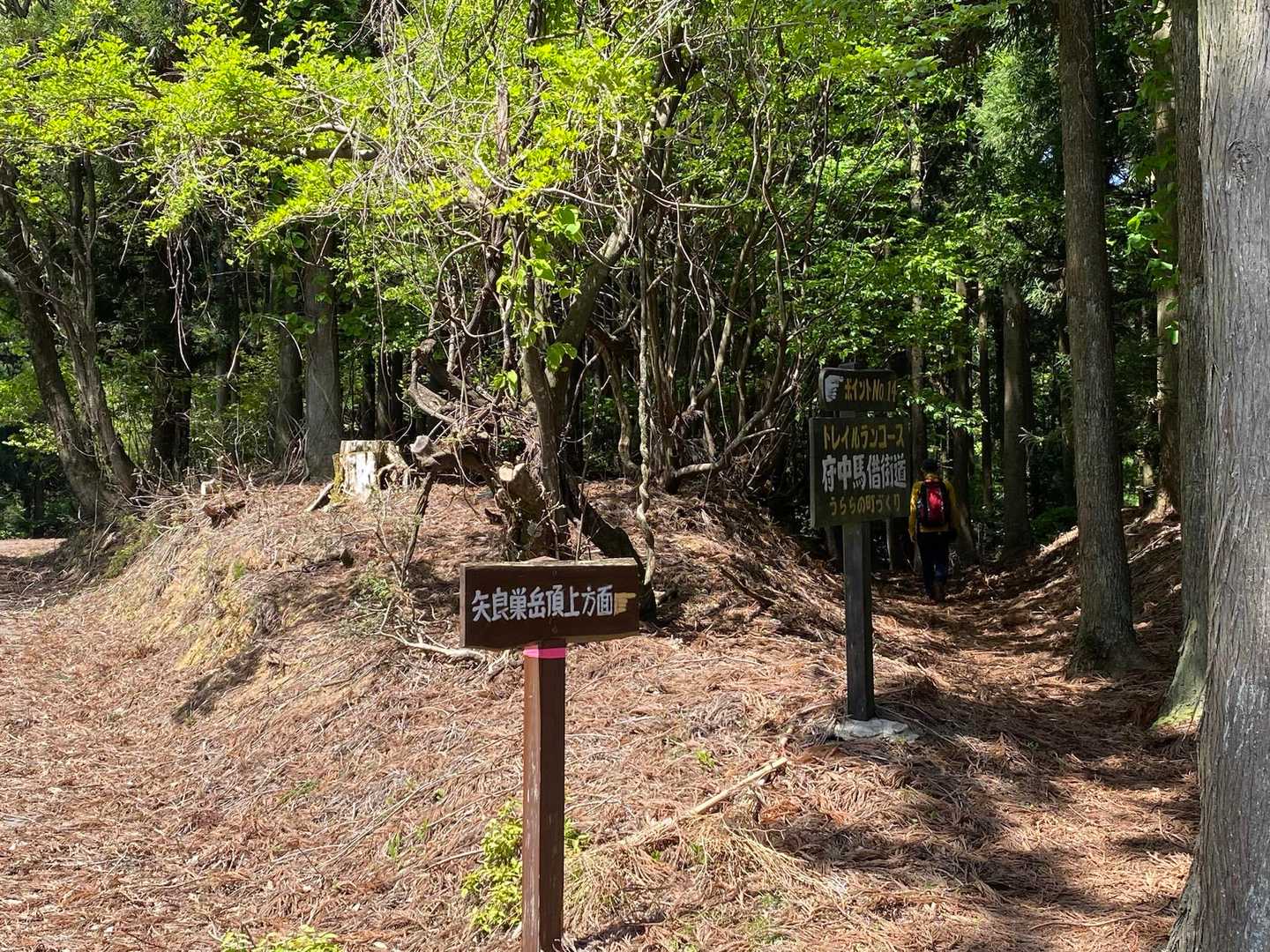 再び登山道へ 。