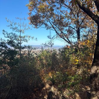 眺望ポイントになってるけど
木が伸びてて残念😗