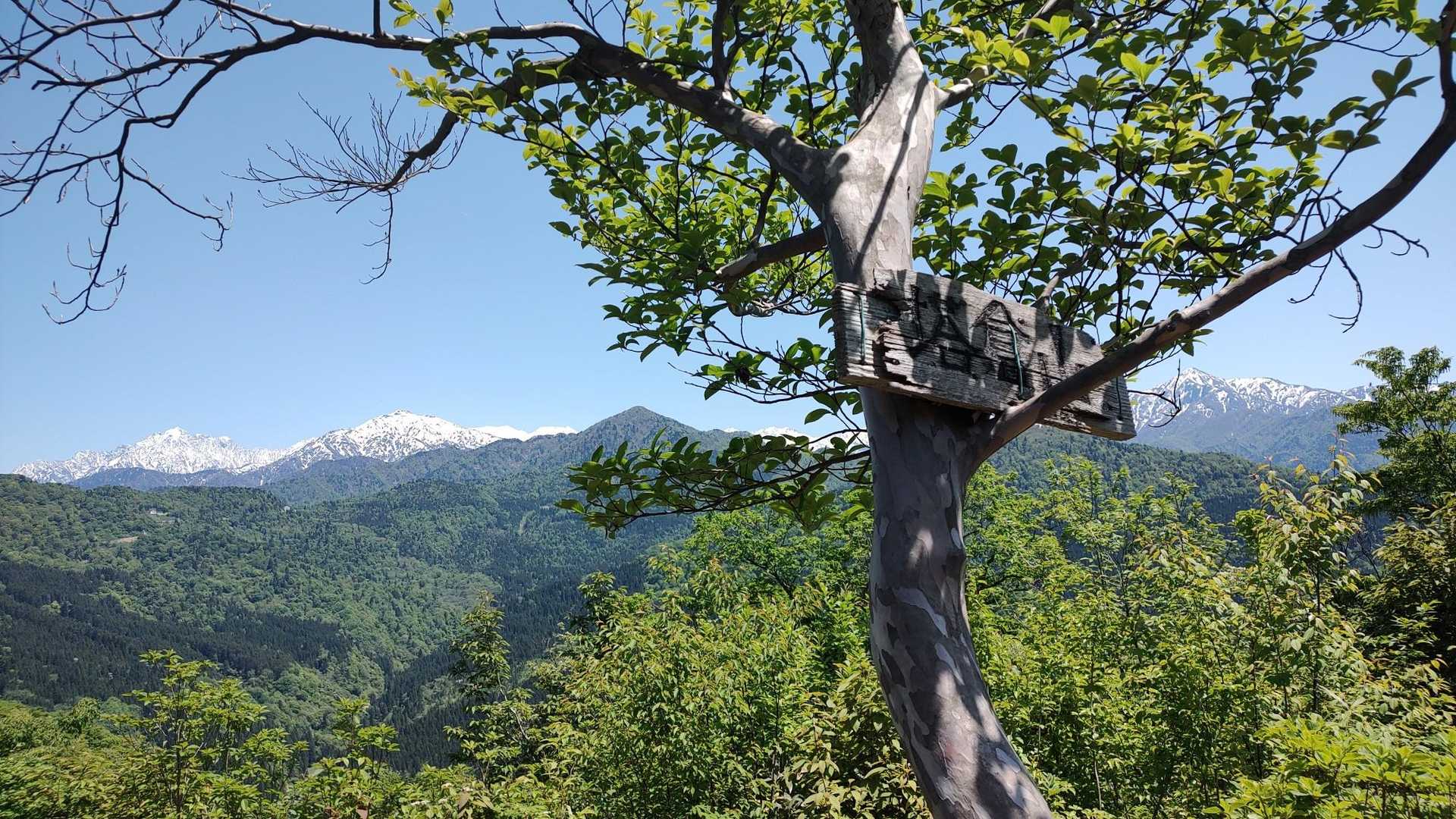 山頂到着