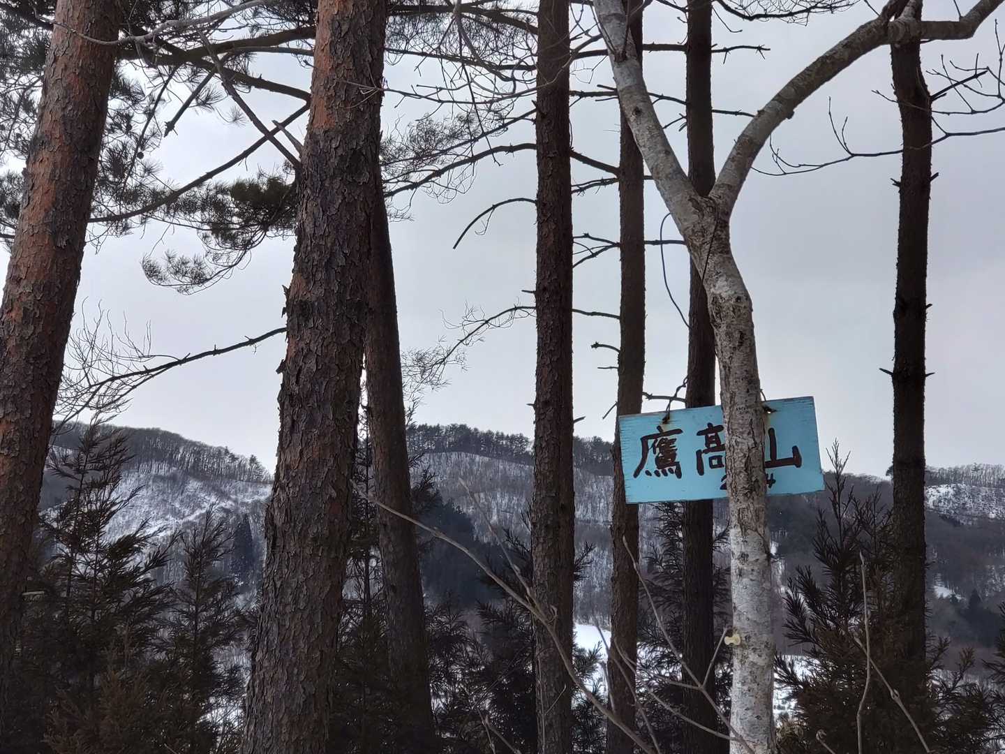 プレート