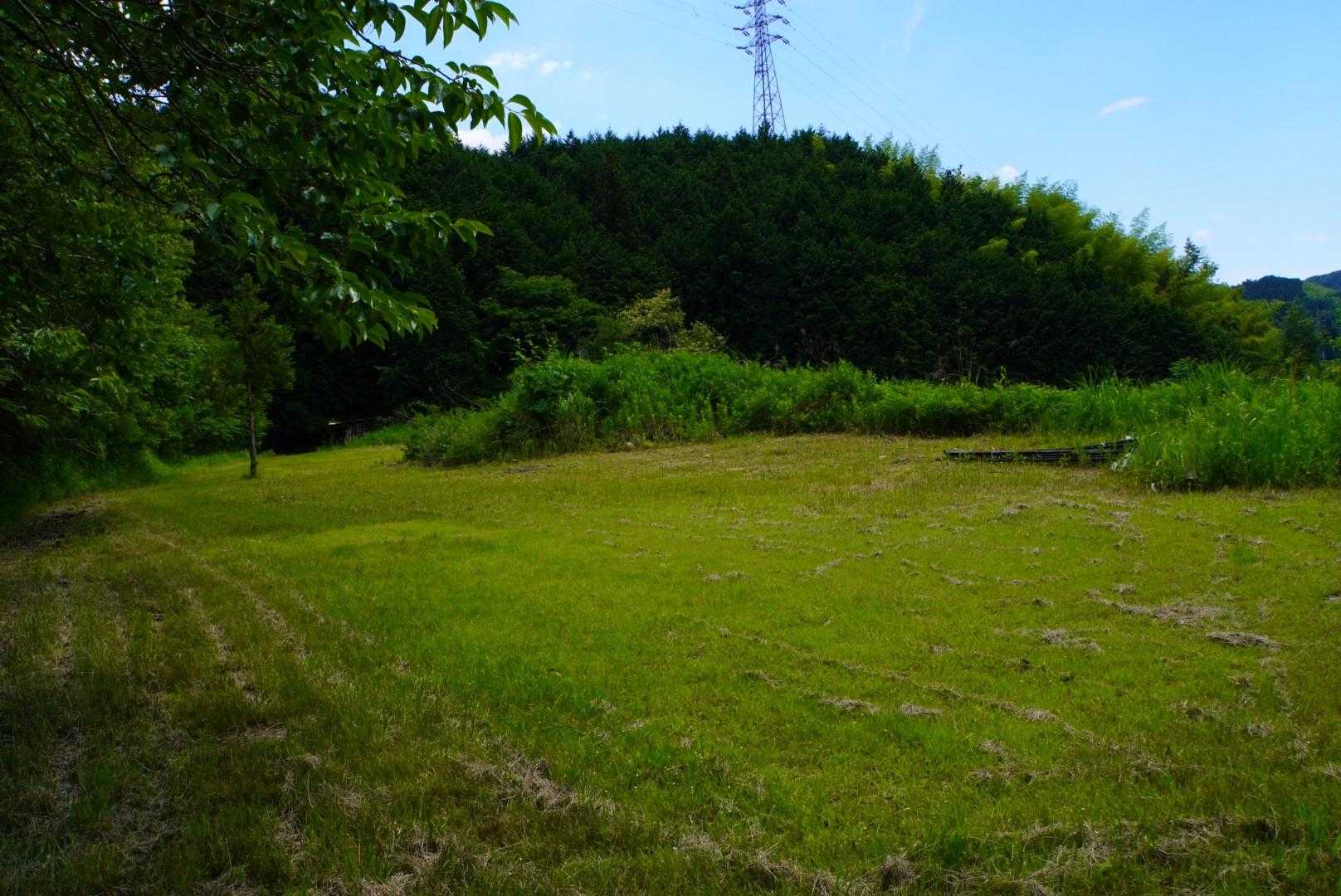 下まで降りて、原っぱに出たら、