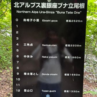 「10」までかと思って下りていったら「12」まであった～。くたくたで下山しました～

いつもありがとうございます！😊
お疲れさまでした🙇‍♂️