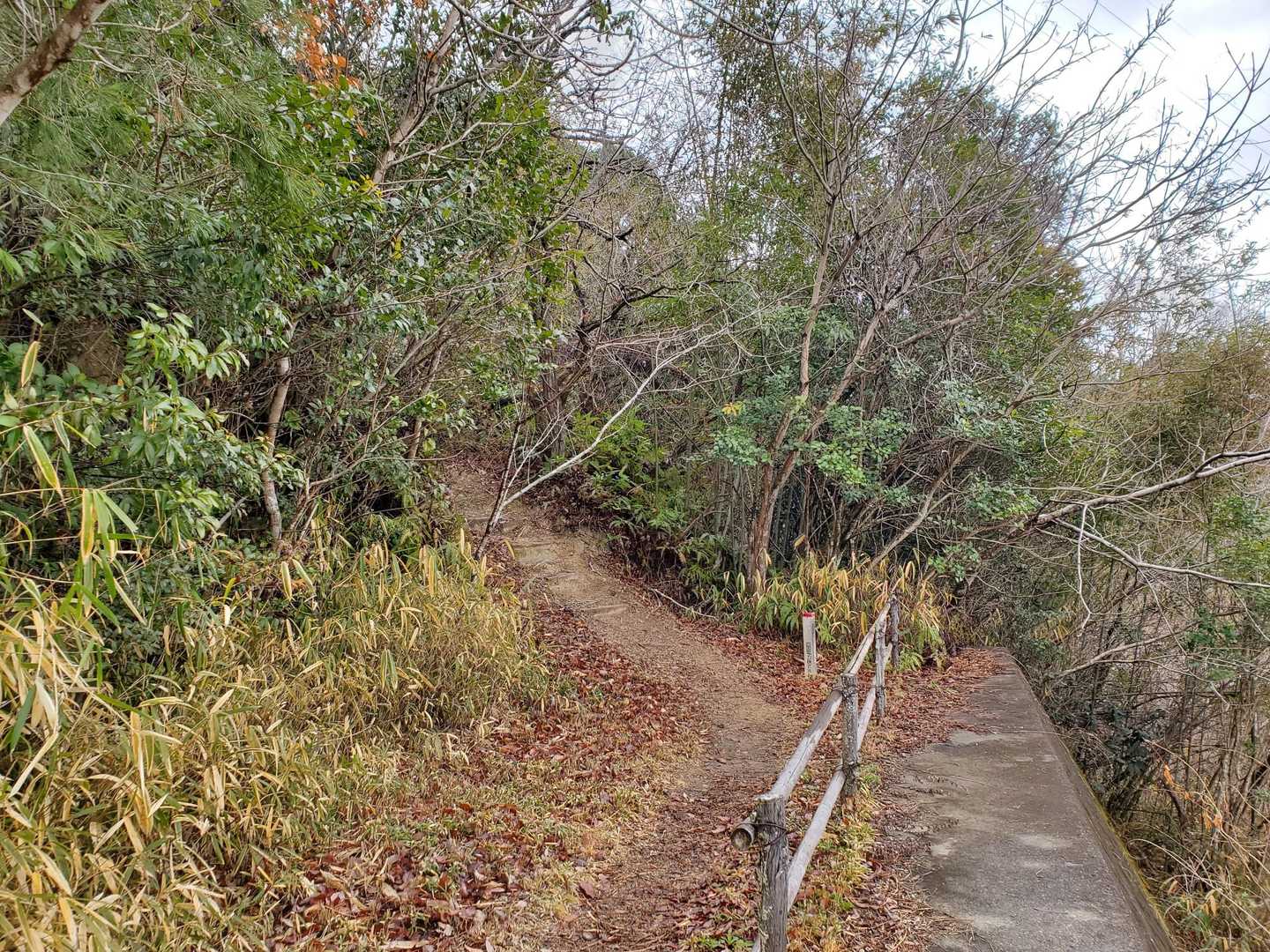 高尾山 往復コースの写真