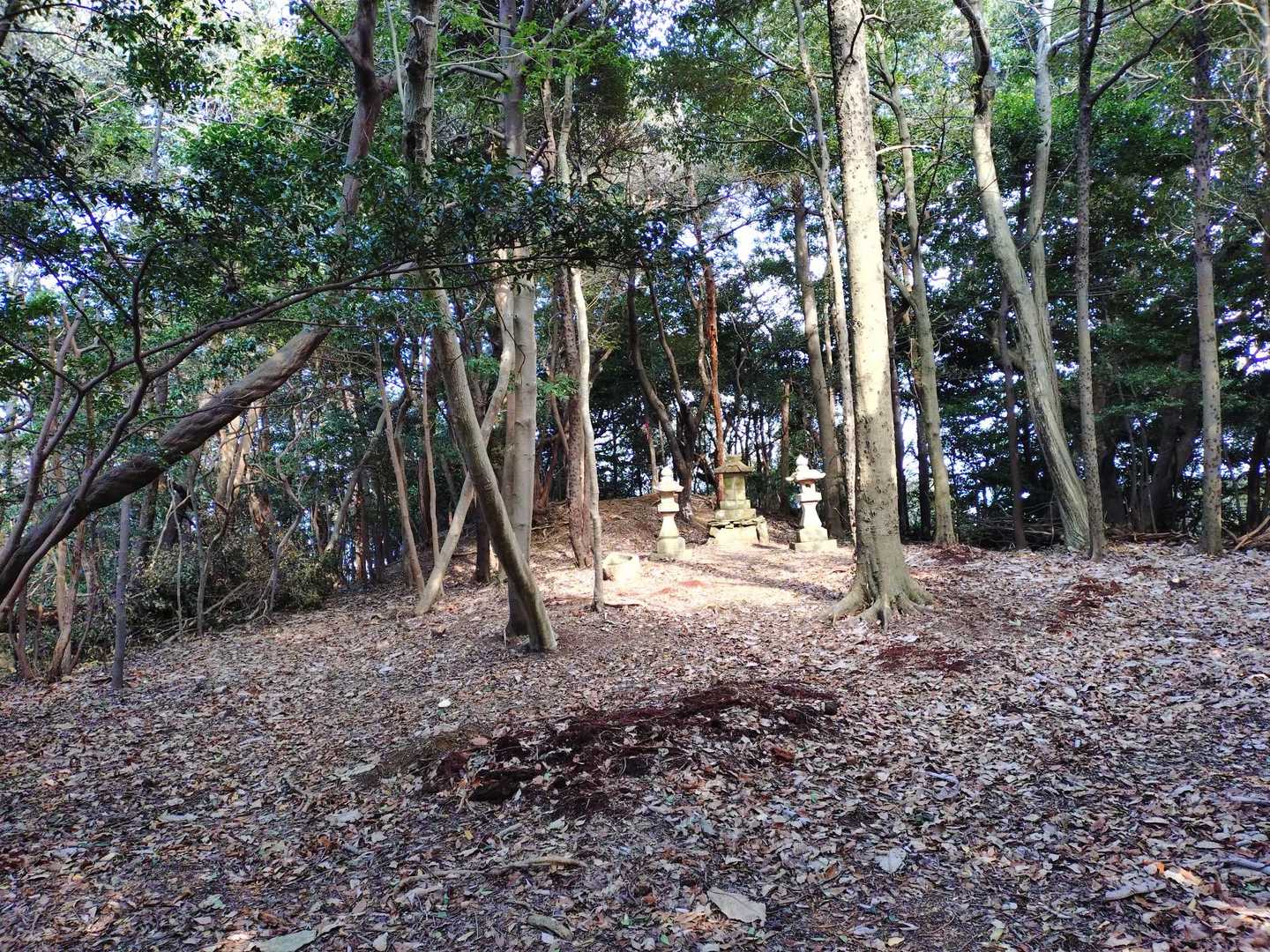 山頂風景
祠があるだけ
三角点は分かりませんでした!