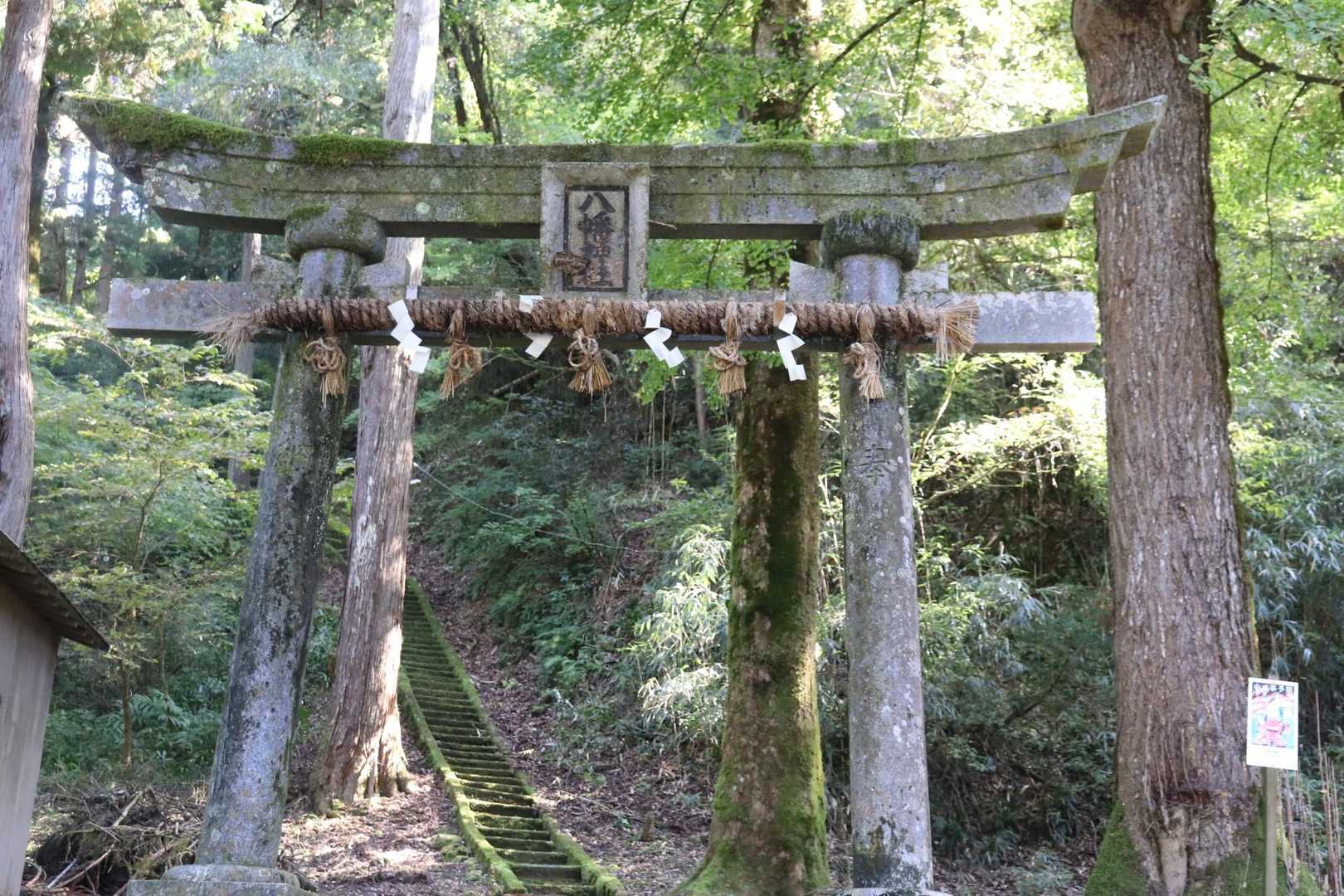 一乗城山登り口-一乗城山 周回コースの写真