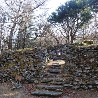 この時間はまだ　ちょっとひんやり　5℃くらい