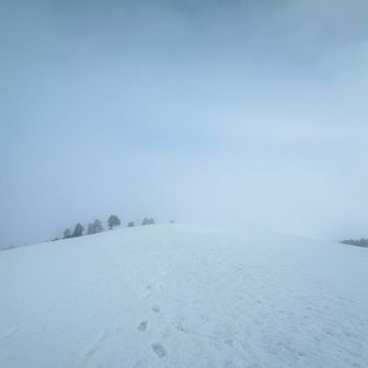 中金剛堂山から15分ほどで奥金剛堂山到着🙌
変わらずガスガス
