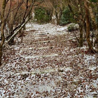 雪をまぶしたような登山口