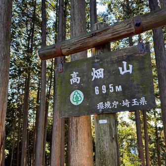 いくつかのピークをゲット