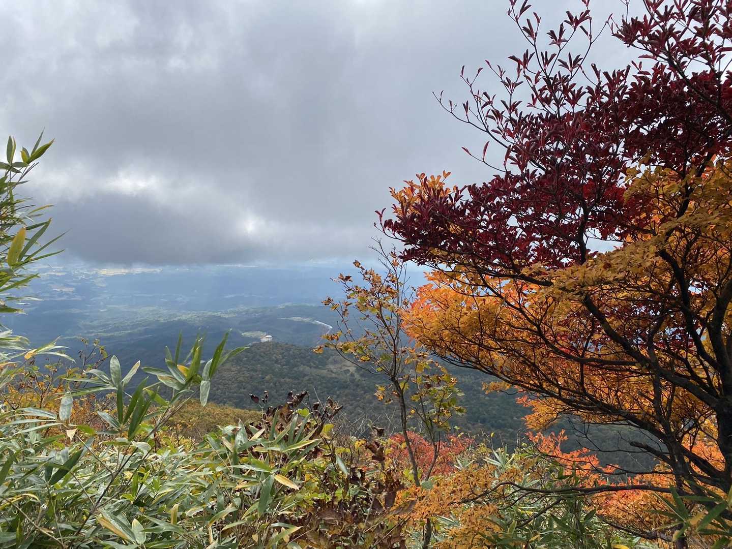 下降コース入口-お分れ峠-泉ヶ岳 往復コースの写真