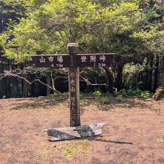 不老山到着！
不老山の急登を共に戦った😅ソロの方二人とお昼ご一緒しました😊
72歳の方はソロでテント泊もこなすと嬉しそうに話してました。健康が何よりですね👍
