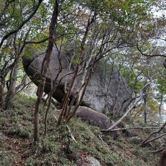 でっかい岩があります。