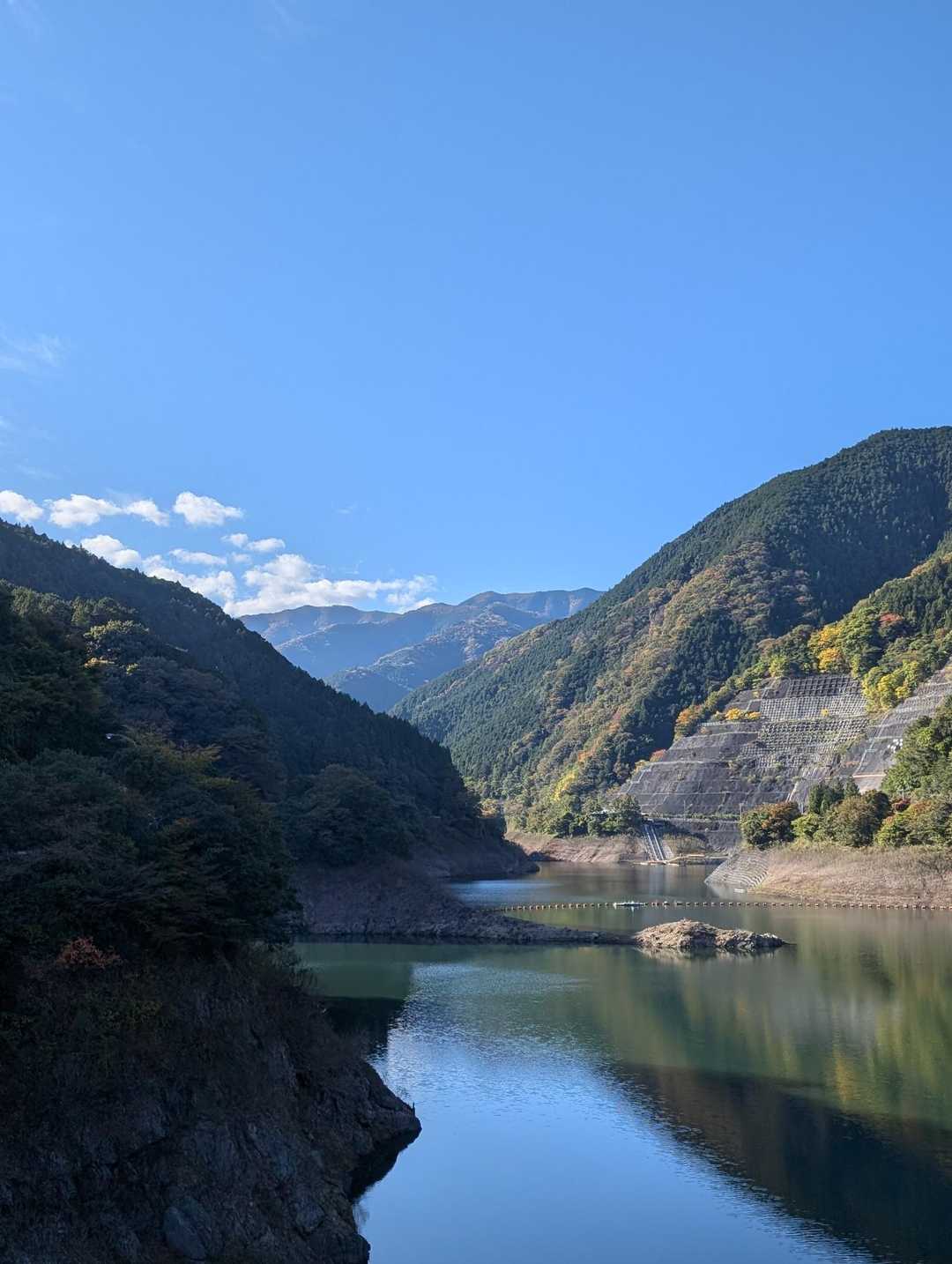 龍泉寺登山口-白谷沢登山口-権次入峠-棒ノ嶺-槇ノ尾山-長 周回コースの写真