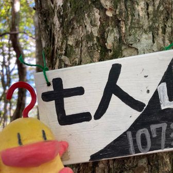 七人山（しちりんやま）山頂到着。周りにたくさん山頂標識があります。