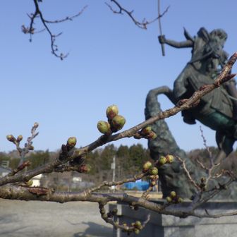 桜の開花はあと少し