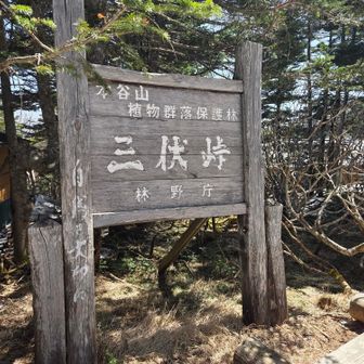 こっからは下り一辺倒、一瞬で行きます