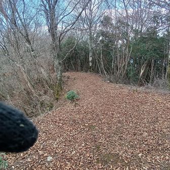 無風、10度くらい、下山します