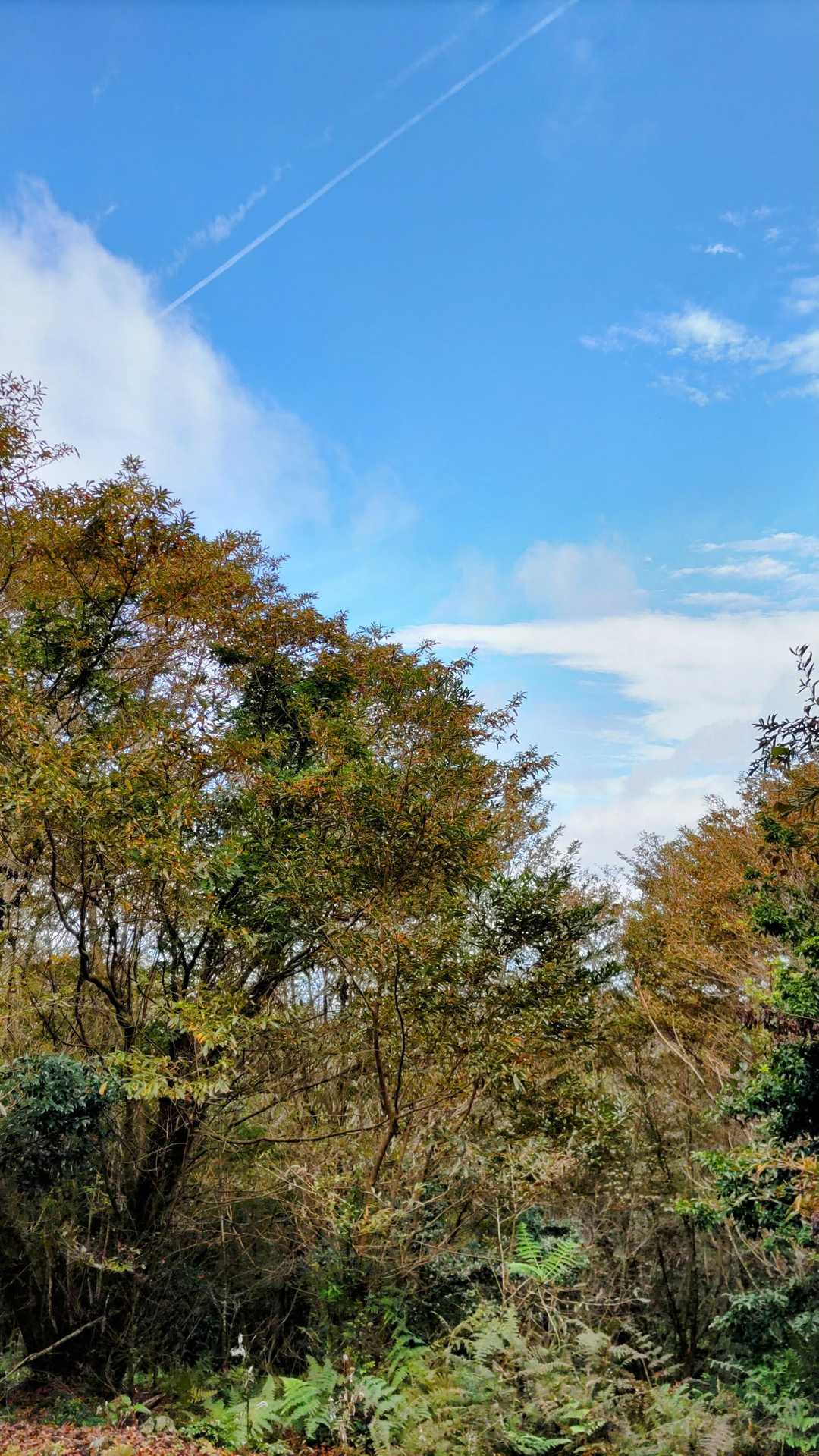 空はまだ晴れてる☀