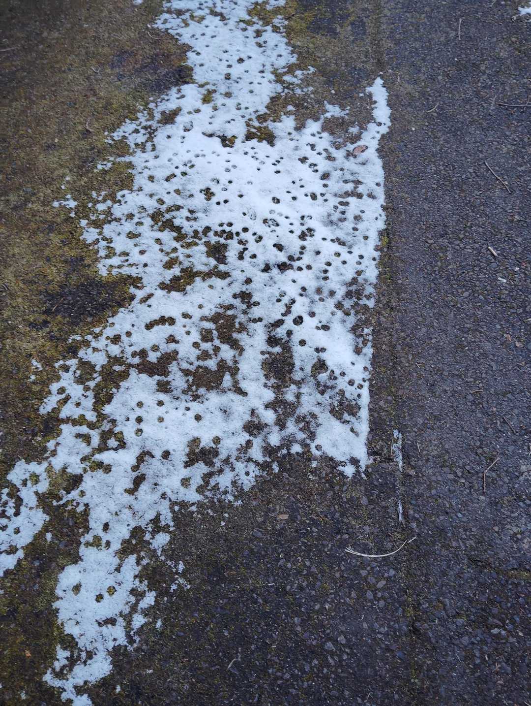 すこーしだけ雪が