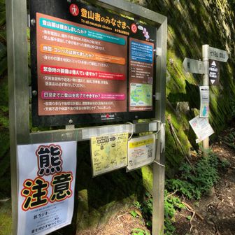 ここからスタート