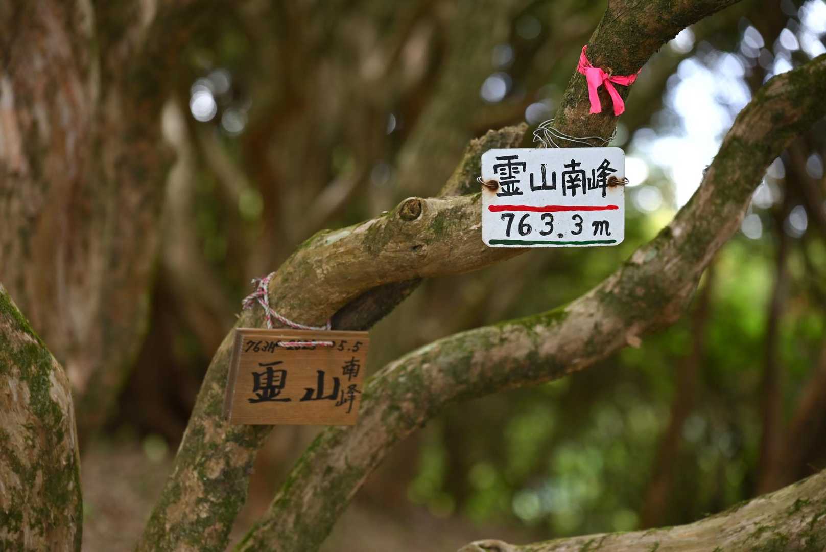 霊山南峰に到着。