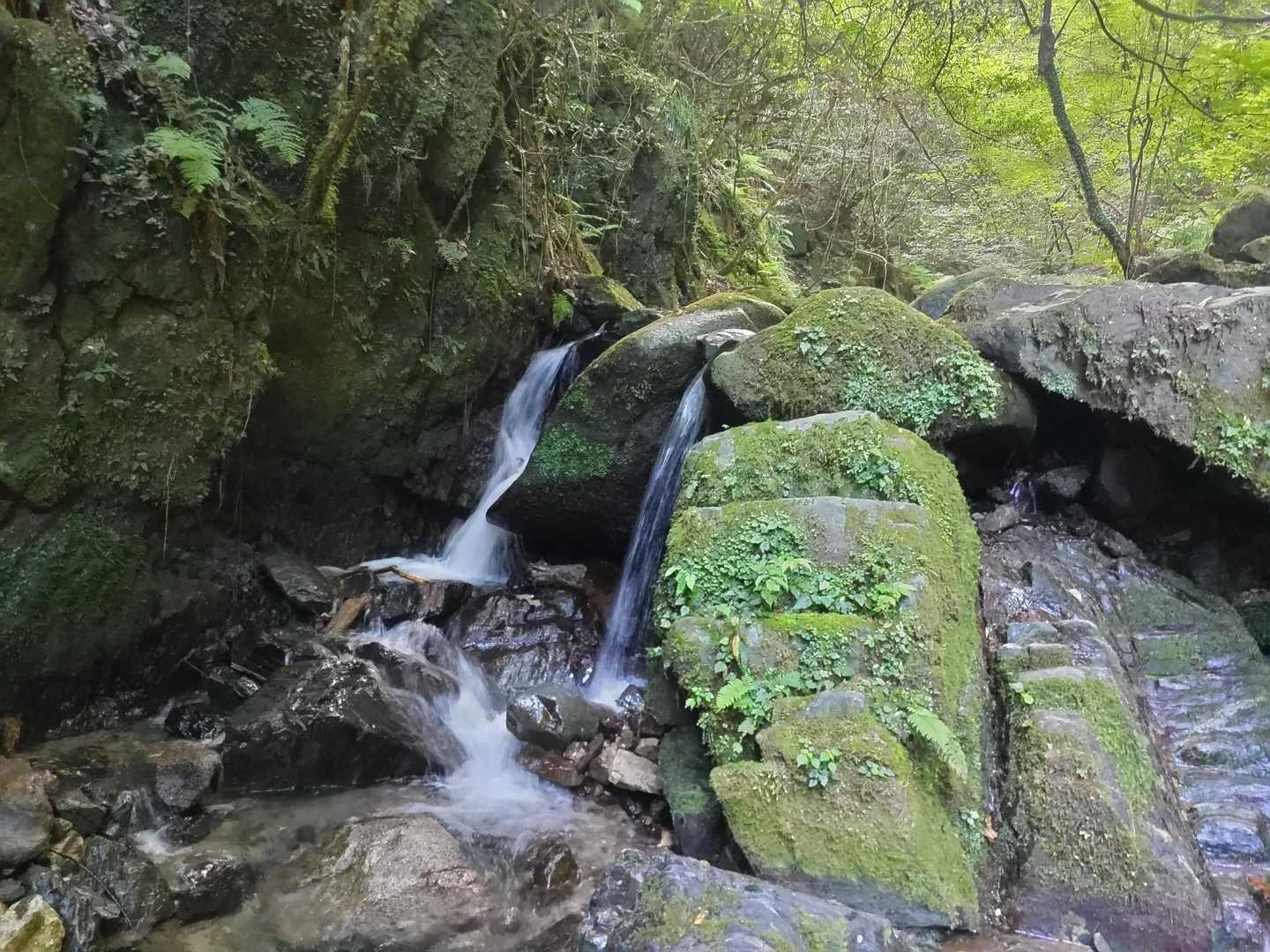 ヤッパリ洗いコース水は綺麗だね🤩