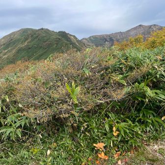 まずは一ノ峰