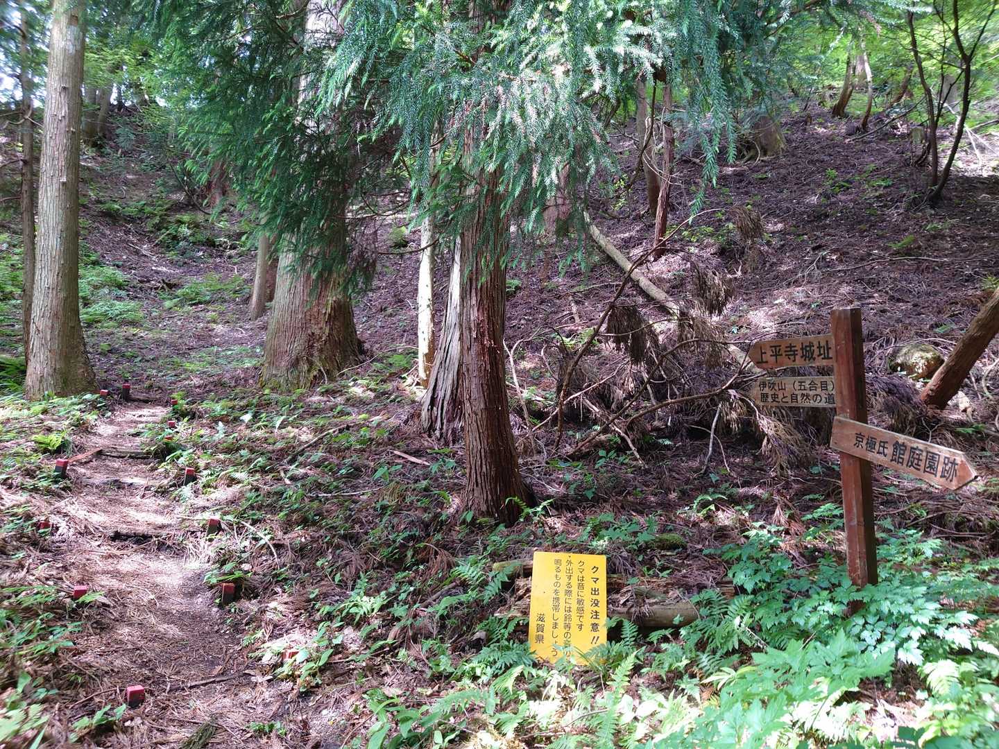 村社 : 伊吹神社手前から左へ進んだところです。
