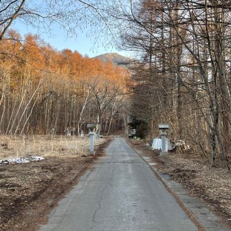 一の鳥居から登山道へアプローチ。
こんな近くに駐車場あったなんて知らなかった。
先に笠山に行きたいので、一の鳥居から登り始め、作業林道に出たら林道を左（西）へ。
いやしかし昨日の疲れと夜の寒風で寝られなかったお陰で全くもって体が重たい😵間違って子泣きじじいでも背負って来ちゃったんじゃないか。