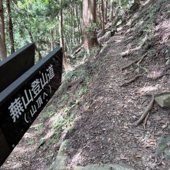登りがくる続く