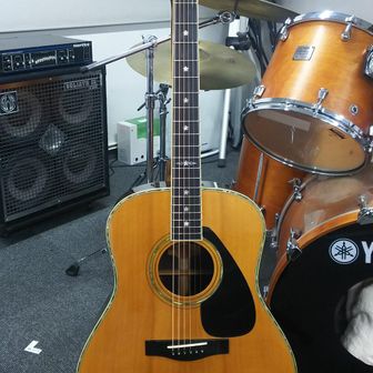 🎵かんちゃん🎸