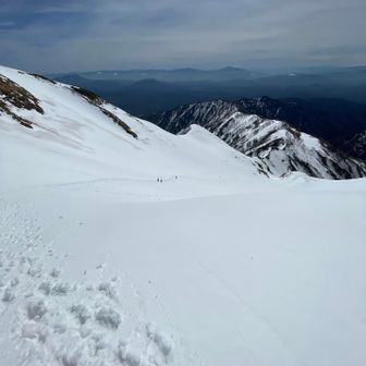 雪が緩んで楽に下れます。
