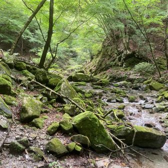 最後は再び沢沿いを下り下山