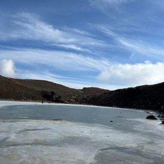 来年早々、また来るねー👋