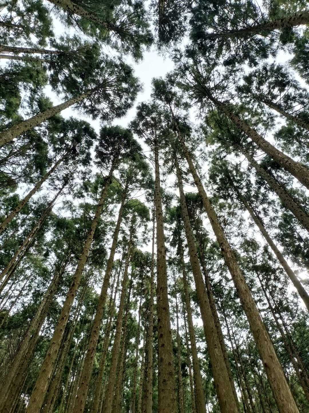 六所山-炮烙山 周回コースの写真