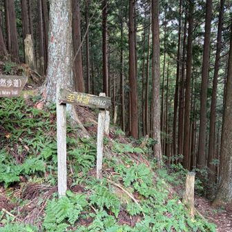 五番関からトンネル西口に降ります。