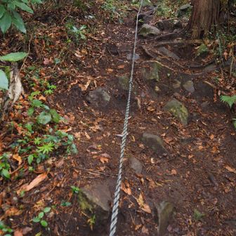 よく登る💦　登ったら下ってる