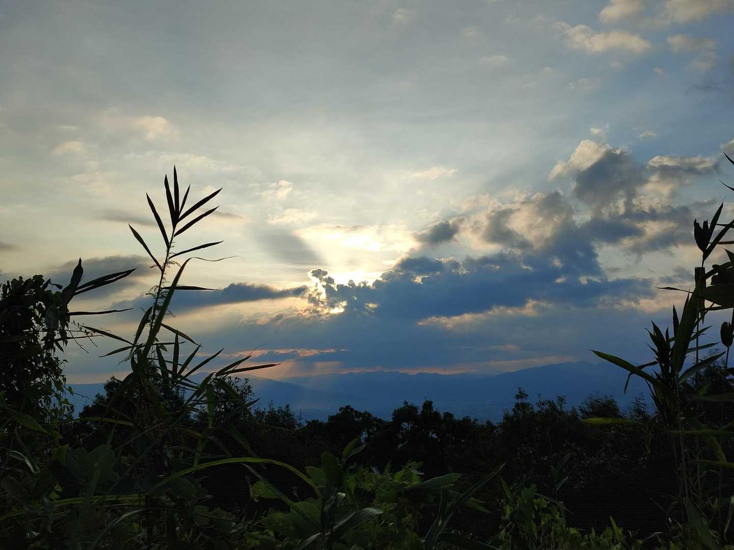 二上山登山口-二上山-第二十六経塚「二上山 陀羅尼品」 往復コースの写真