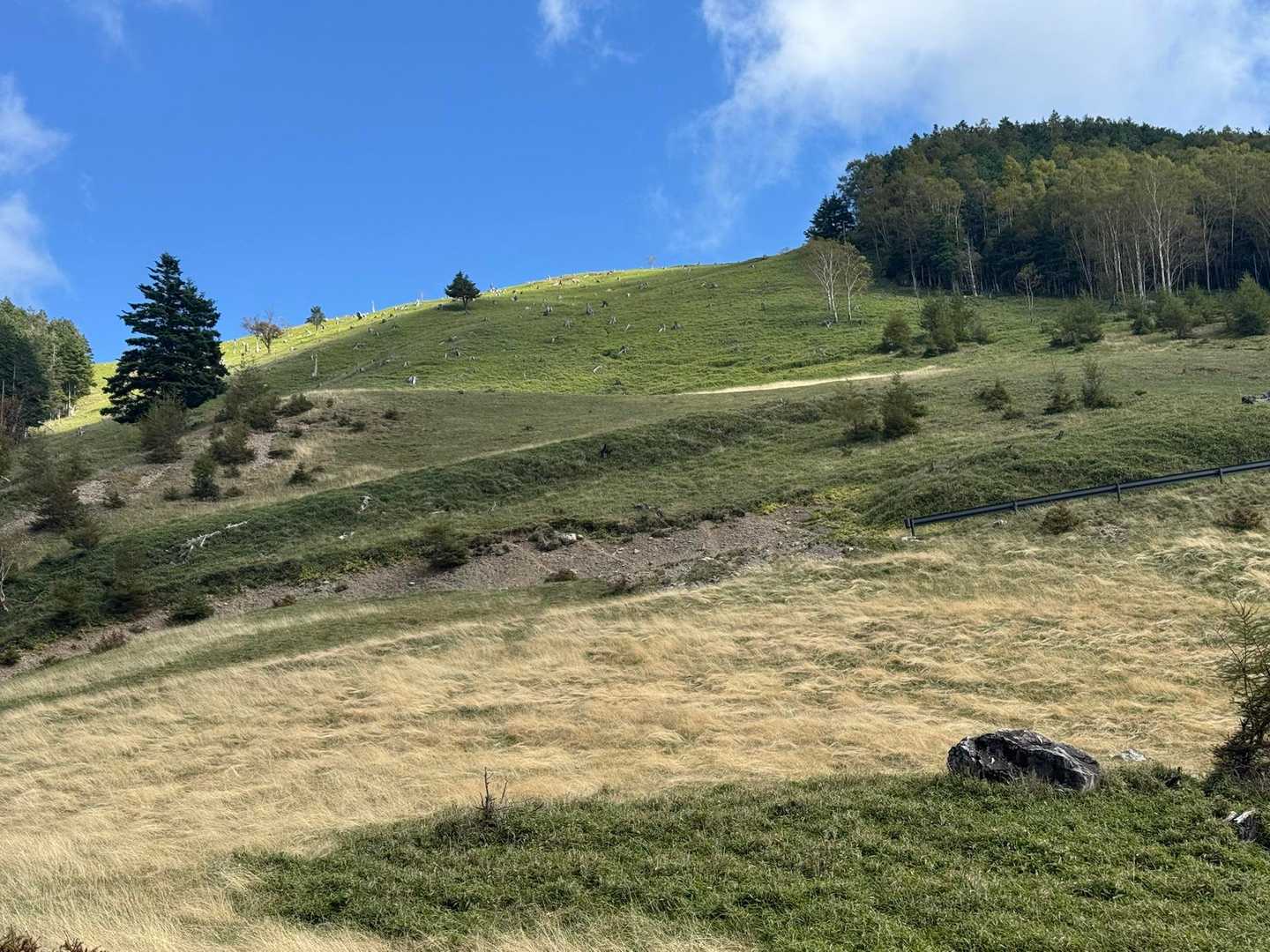 二児山遊歩道入口-二児山 往復コースの写真