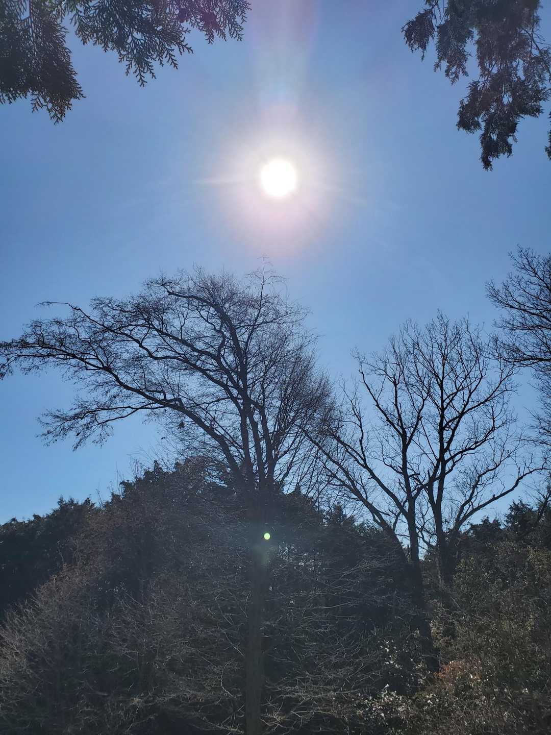 写真撮ってぇ♬