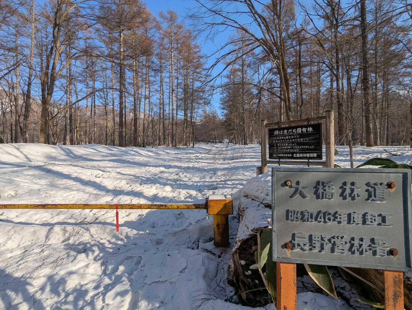 スタートのゲートから潤沢に雪が積もっている。
踏み跡バッチリ✌️