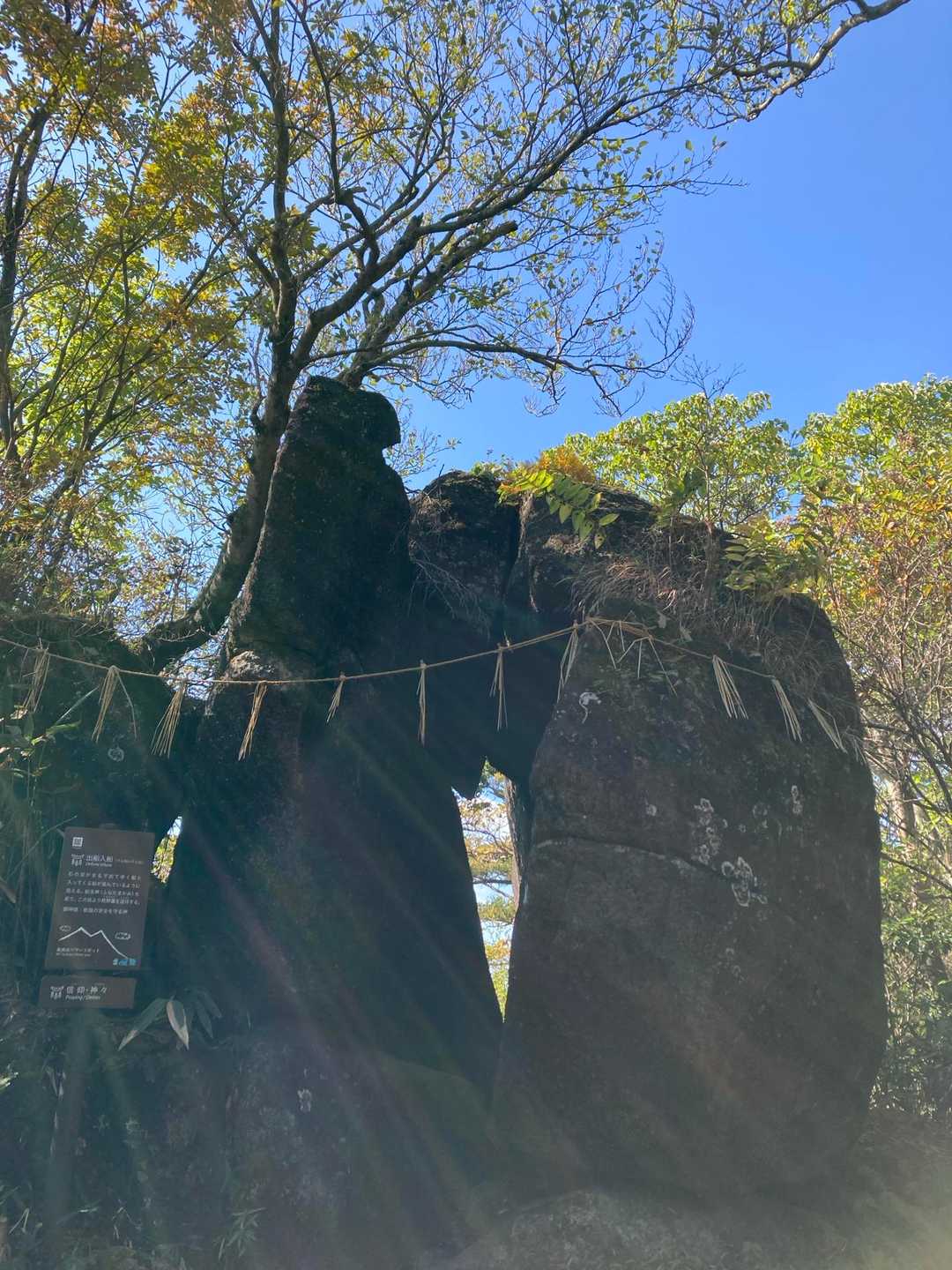 出船入船はいつも何だか神々しい✨