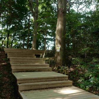 一瞬だけある木道