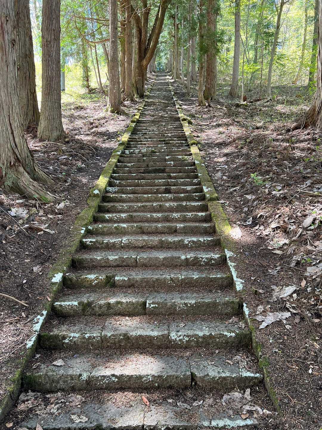 謎に登り返して〜