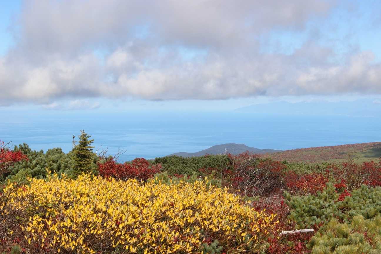 日本海を見ながら下山