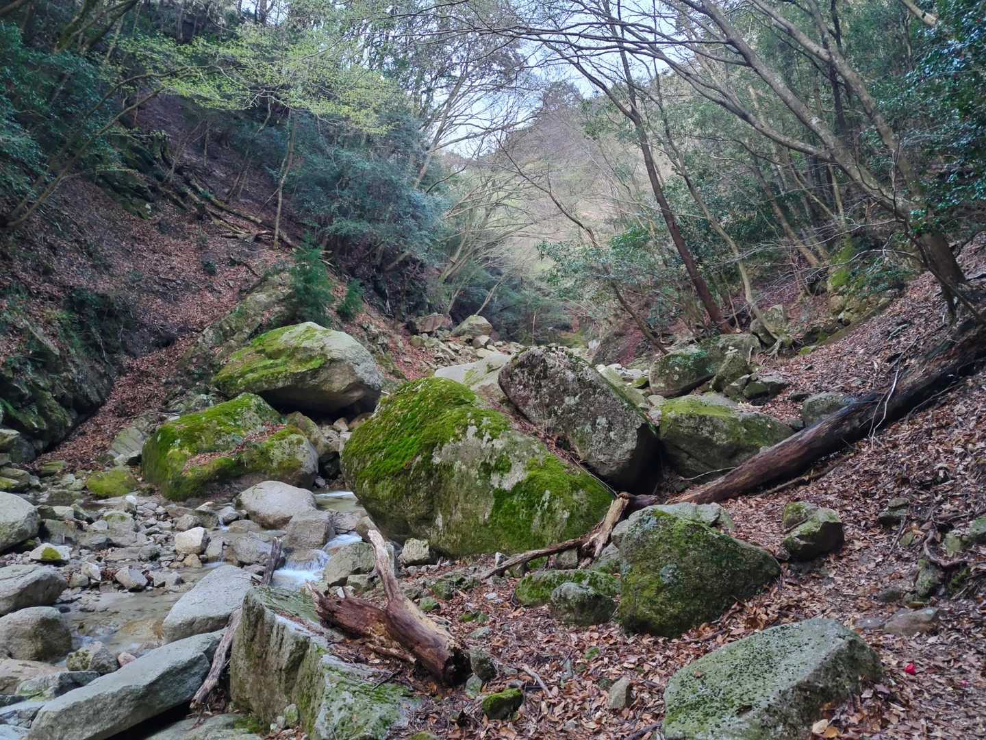 谷っぽくなってきました😊
この先、右へ行ったり左へ行ったり何度となく岩伝いに沢を渡りました⚠
ピンテもありますが、ケルンも頼りになりました😊🙏