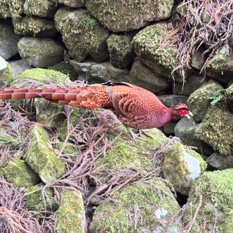 なにやら 言ってる様子…