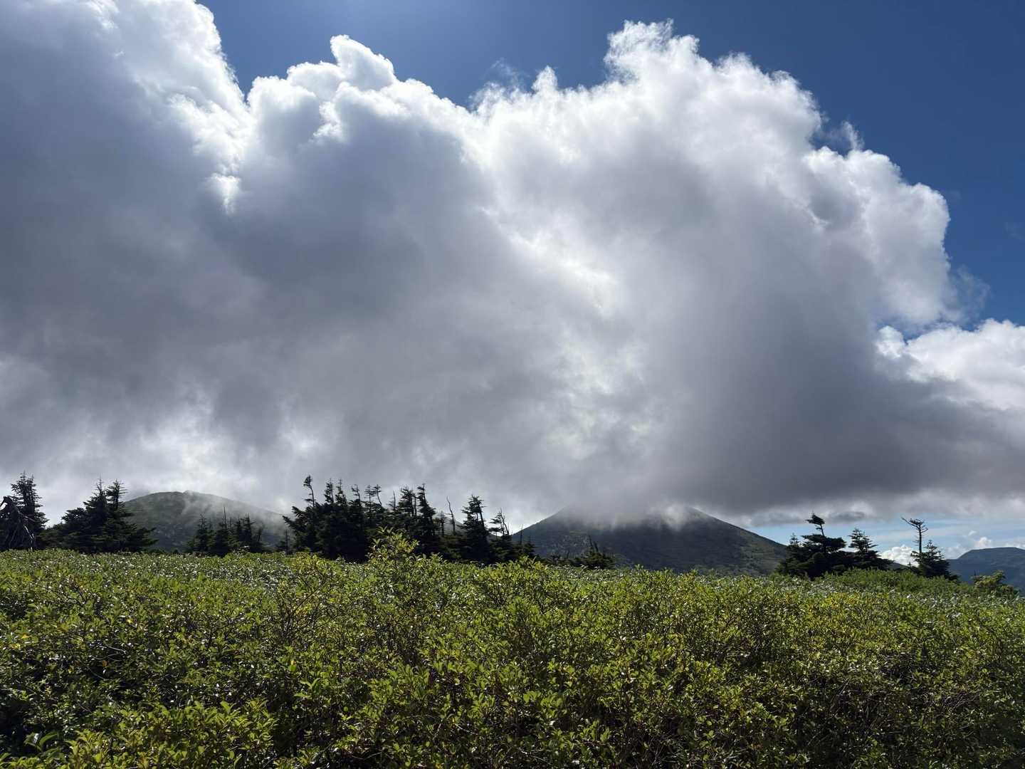 大岳山頂は雲。